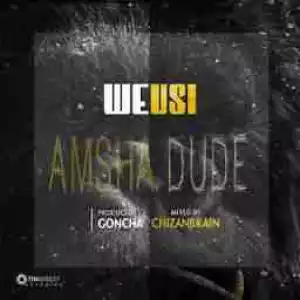 Weusi - Amsha Dude